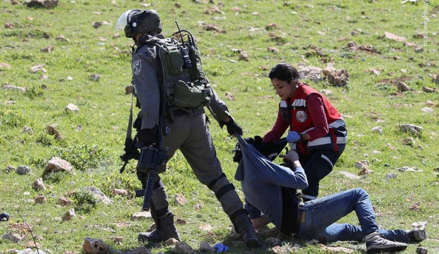 امدادرسانی زن شجاع فلسطینی در مقابل کفتارها + تصاویر