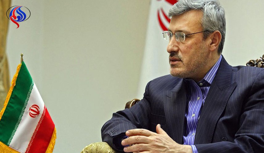 بعیدی نژاد: بسته پیشنهادی اروپا باید بتواند منافع ایران را تضمین کند