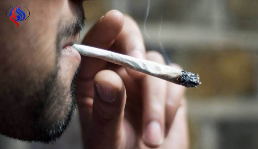 دولة عربية في قائمة أكثر الدول تدخينا للحشيش!