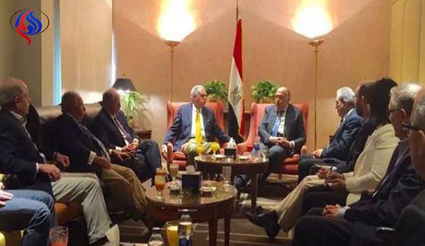 شكري يبحث المستجدات الفلسطينية مع وفد 
