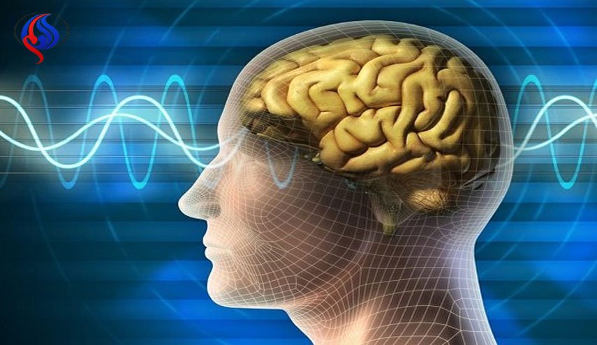 روش جدید برای بازگرداندن حافظه بیماران آلزایمری! 