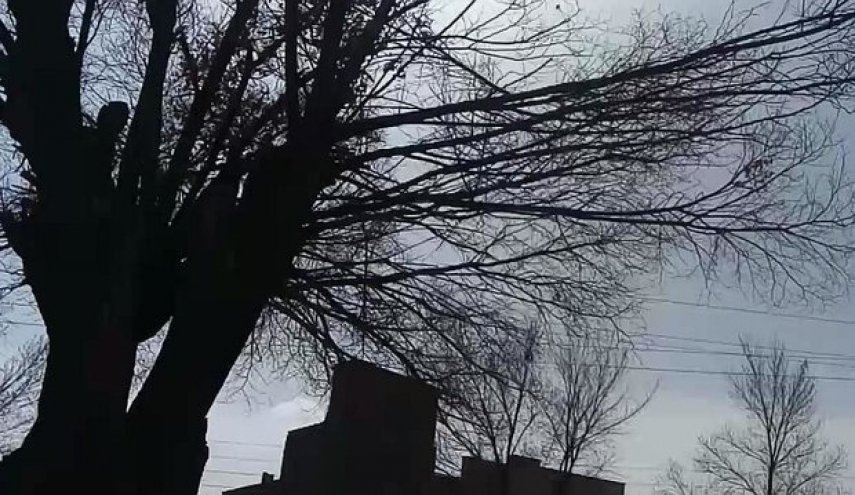 هشدار هواشناسی درباره وقوع تند باد تا سرعت ۸۰ کیلومتر بر ساعت