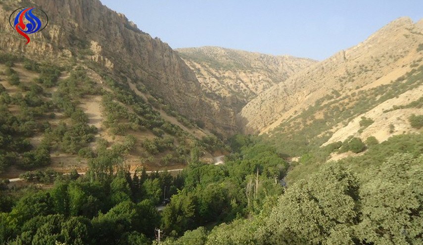 20 مسعفاً يواصلون البحث عن ضحايا الطائرة الإيرانية المنكوبة