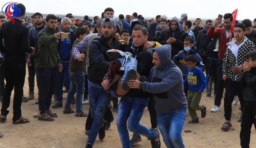 ممثلة اميركية ترفض التكريم في كيان الاحتلال تضامنا مع فلسطين