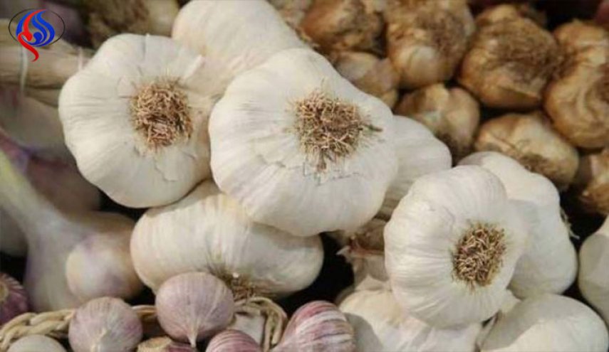 من بينها تخفيض ضغط الدم.. الثوم يقلل خطر الإصابة بـ 3 أمراض خطيرة