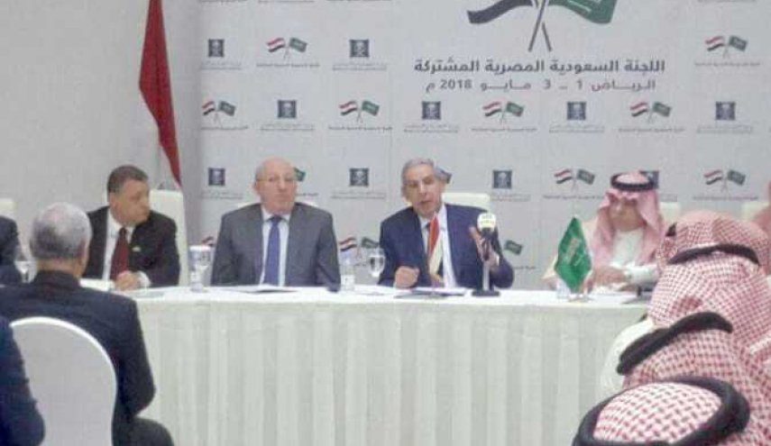 السعودية تستحوذ على 22% من الاستثمارات العربية في مصر