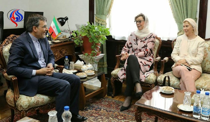 دیدار قائم مقام وزیر خارجه سوئد با جابری انصاری