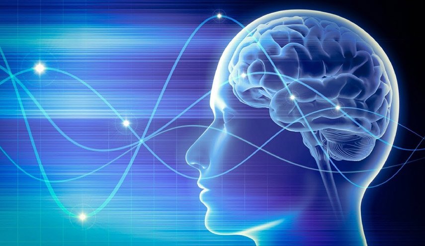 بماذا يحس الراغبون بإحياء الدماغ بعد الموت؟