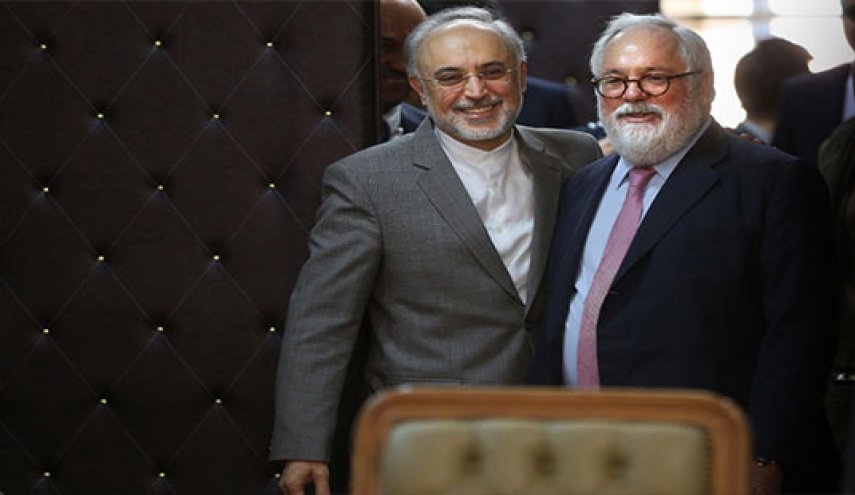 کمیسیونرانرژی اروپا با رییس سازمان انرژی اتمی دیدارکرد