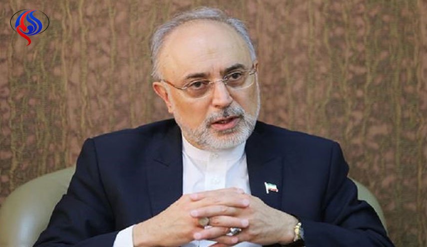 خروج ترامپ از برجام، مواضع مسوولان نظام درباره آمریکا را ثابت کرد/ تشریح اقدامات حمایتی اروپا از برجام 
