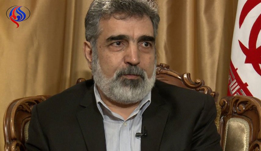مکانیزم های اروپا قبل از آغاز تحریم آمریکا باید برقرار شود/ آمادگی سازمان انرژی اتمی برای بازگشت به شرایط قبل