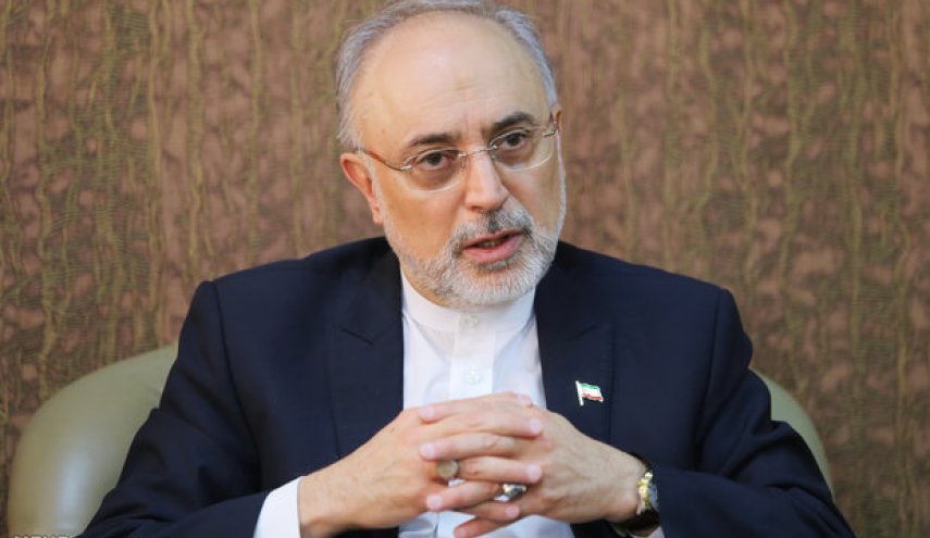 دیدار و گفتگوی رئیس نظام ایمنی هسته‌ای روسیه با صالحی