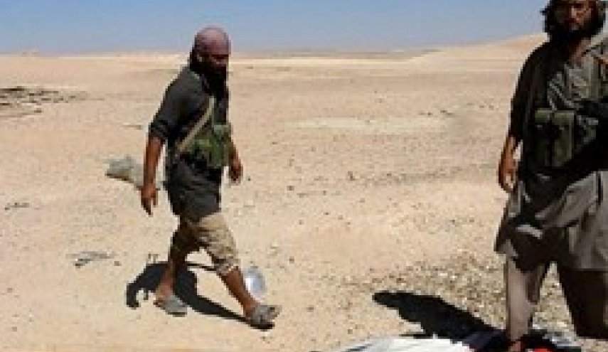 تروریست‌ها ۱۲ نفر از اعضای یک خانواده عراقی را به قتل رساندند