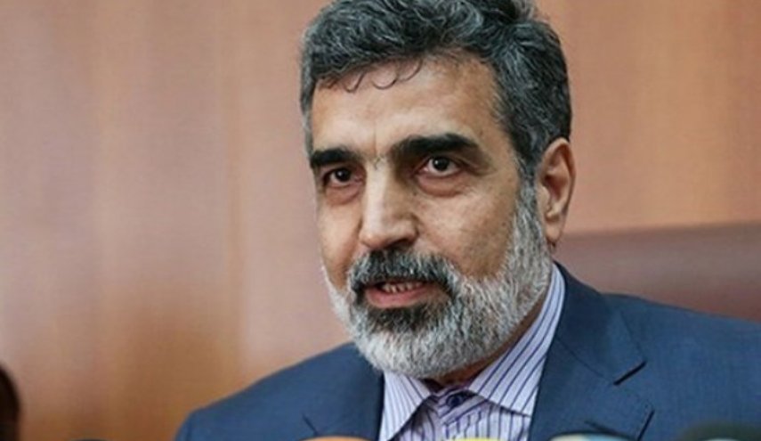 کمالوندی: مذاکره با چینی‌ها درباره 