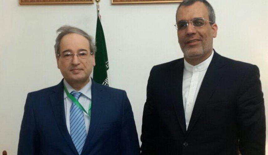 بررسی آخرین روند تحولات سیاسی و میدانی سوریه در دیدار جابری انصاری و فیصل مقداد