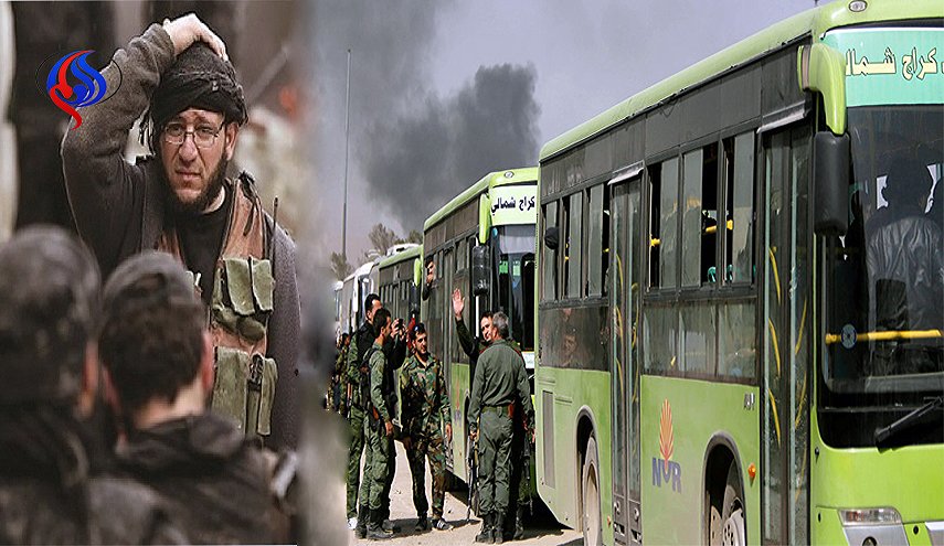 في رحلة الاستسلام.. هل يعلن مسلحو الجنوب لون باصاتهم المفضل؟