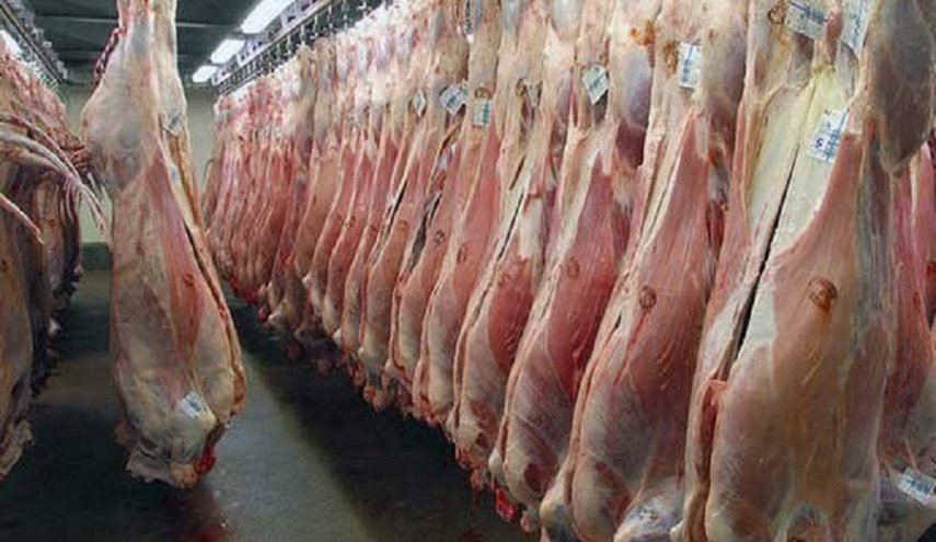 فوت 5 نفر بر اثر ابتلا به تب کریمه کنگو