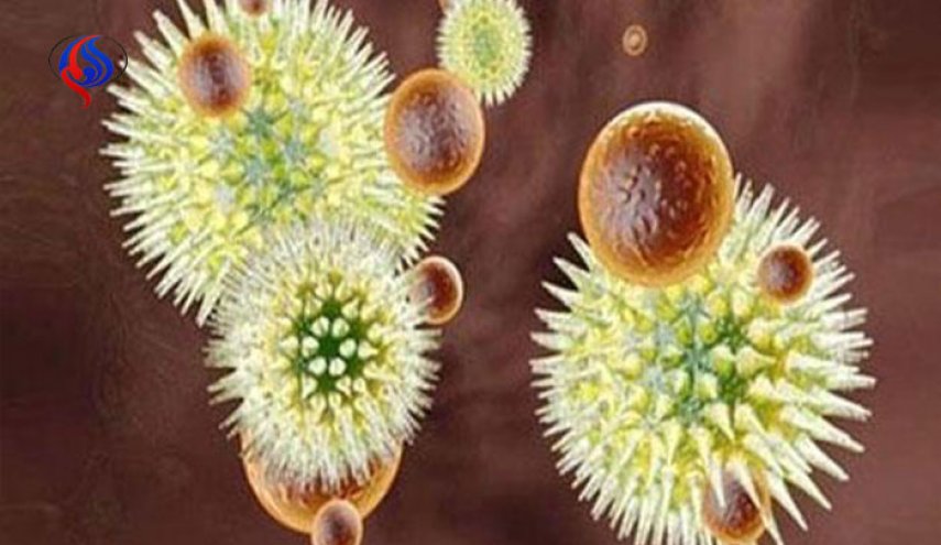 سلالة جديدة من فيروس الإنفلونزا تهدد مليار إنسان 