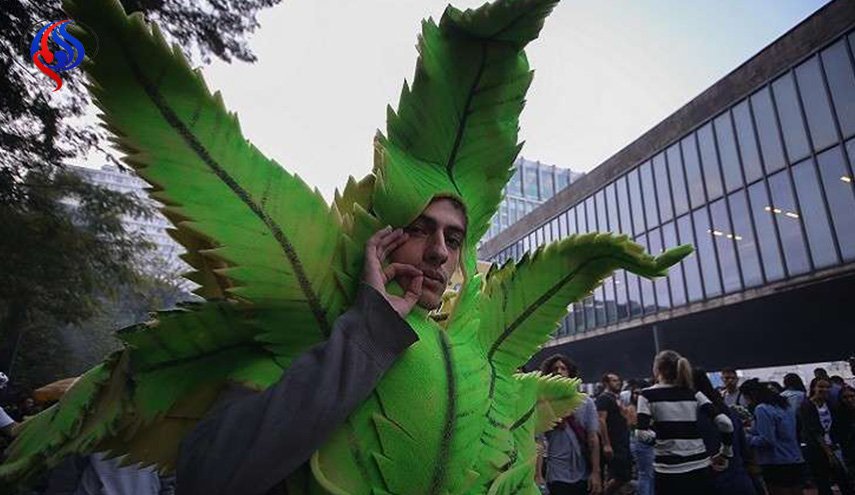 جورجيا تشرع تعاطي الماريغوانا