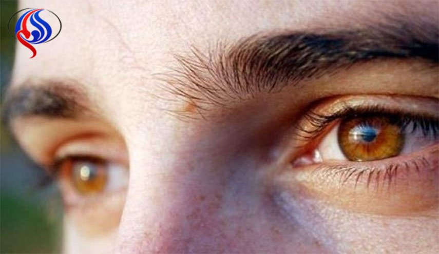 تحديد شخصية الأفراد من خلال  مراقبة حركة العين