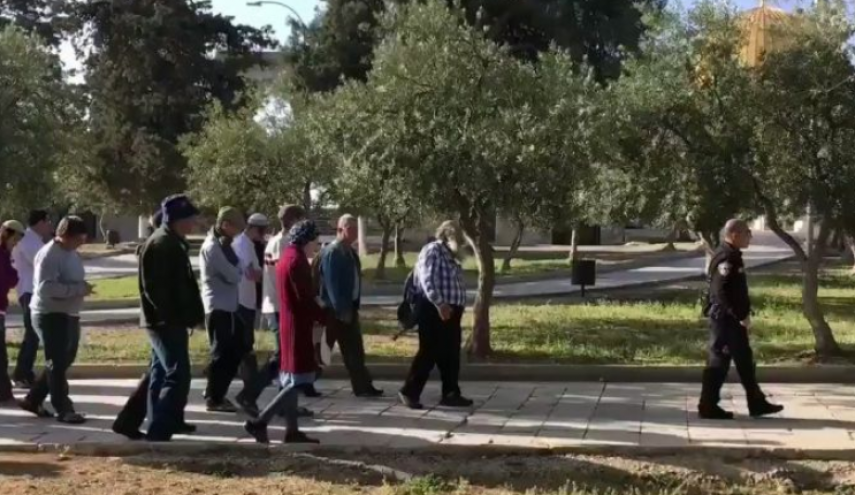 113 مستوطنًا يقتحمون باحات الأقصى بحراسة مشددة