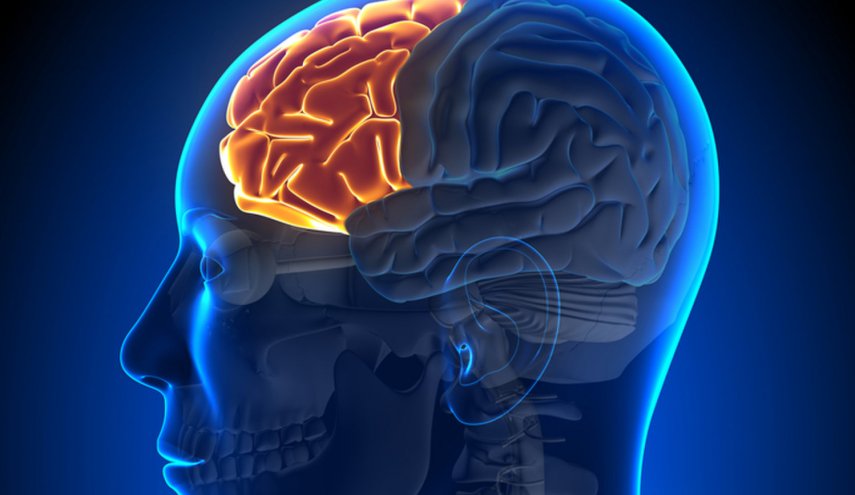 ماذا يحدث لدماغك إذا توقفت عن استخدام 