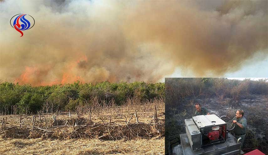 اندلاع حريق في محمية 'ميانكالة' الطبيعية شمالي ايران