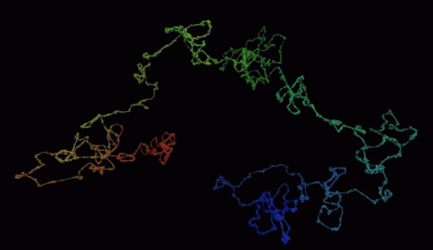 بالفيديو: لأول مرة في التاريخ .. تصوير حركة الكروموسومات للخلايا البشرية!!