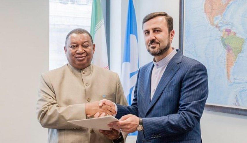 غریب‌آبادی: اوپک تلاش کند سازمانی غیرسیاسی بماند