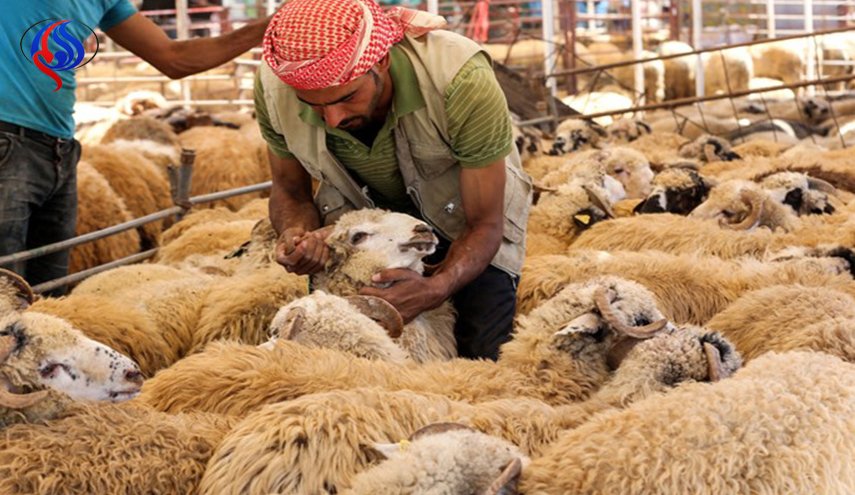 هذه الدول خالفت السعودية في يوم عيد الأضحى