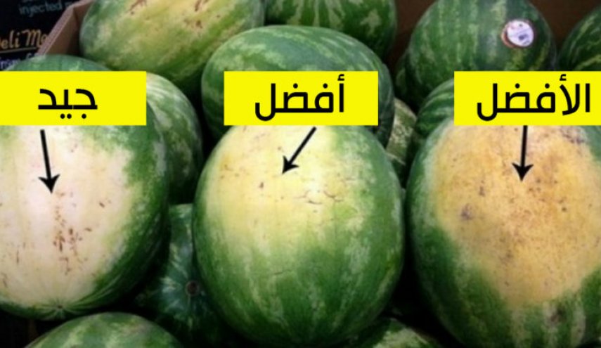 كيف تختار البطيخة الأفضل .. إليك هذه الحقائق!