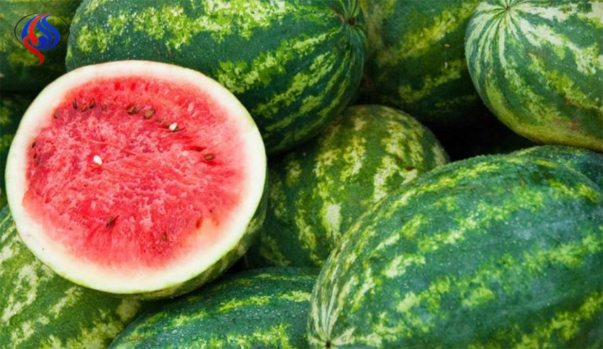 يمكنك اختيار البطيخ الاحمر بنظرة واحدة من خلال هذه العلامة