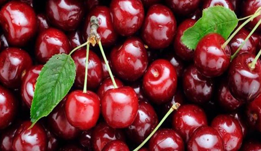 فوائد الكرز على صحة الجسم والبشرة
