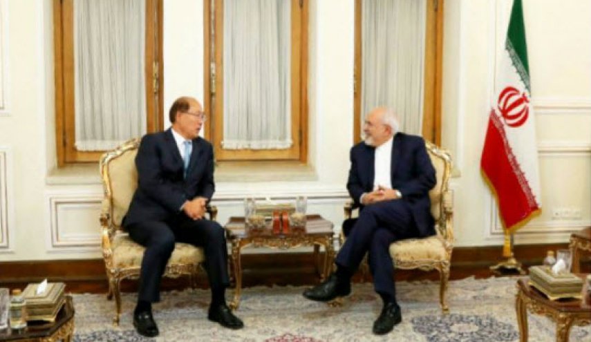 دیدار دبیرکل سازمان بین المللی دریانوردی با ظریف
