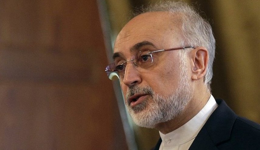 در نبود برجام، برنامه هسته‌ای ما قدرتمندتر می‌شود/سوء قصد به دانشمندان ما، عواقب جدی دارد
