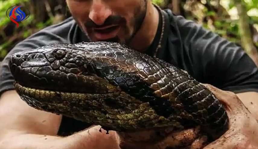 الأفاعي تتربع على موائد الطعام في هذه الدولة + صورة