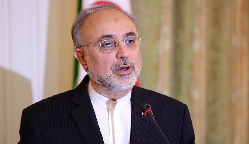 تأکید صالحی بر ایفای نقش موثر و فنی انگلیس در پروژه نوسازی راکتور اراک