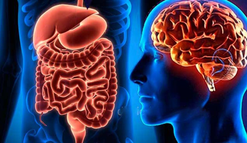  حقائق مدهشة عن الأمعاء التي تعتبر 