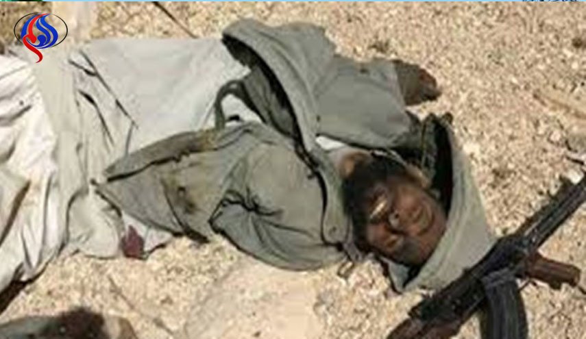 یک فرمانده داعش در شبه‌جزیره سیناء مصر کشته شد
