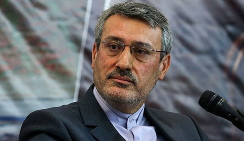 واکنش بعید‌ی‌نژاد به تحریف اظهاراتش در یک شبکه خبری فارسی زبان در انگلیس