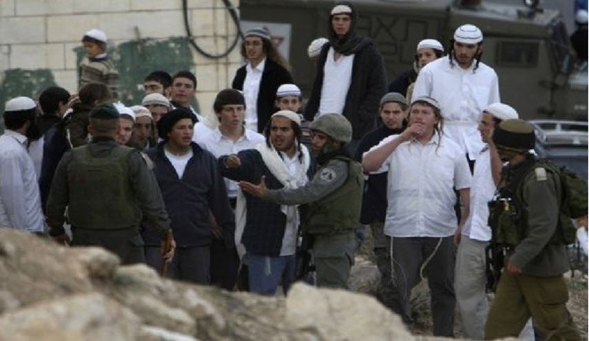 تحت حماية الجيش الاحتلال... مستوطنون يعتدون على عائلات فلسطينية