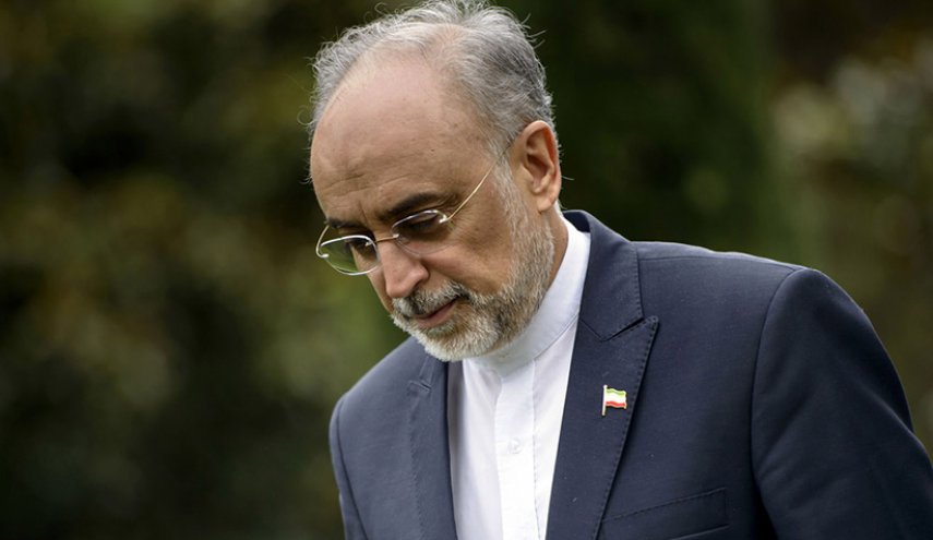تأکید صالحی بر تداوم تعاملات سازنده با اروپا در زمینه همکاری‌ صلح‌‌آمیز هسته‌ای