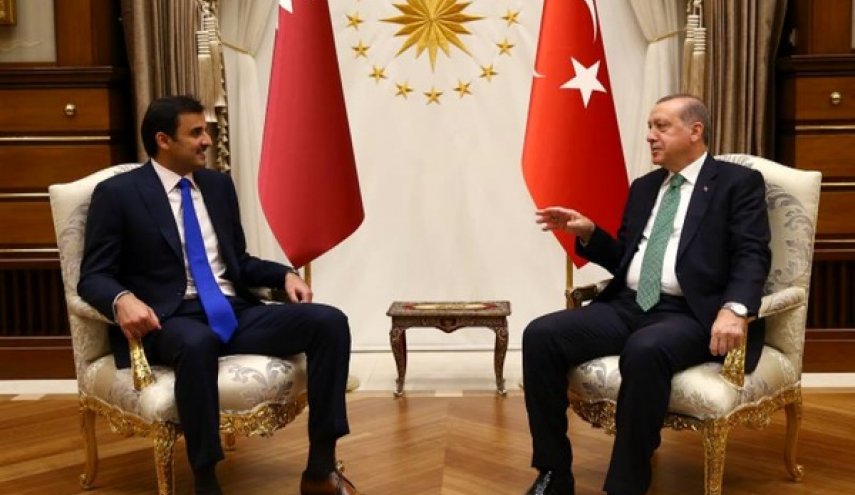 رئیس‌جمهور ترکیه و امیر قطر دیدار کردند
