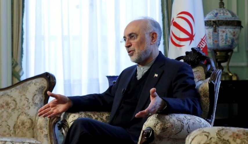 صالحی: اگر نتوانیم نفتمان را بفروشیم، ماندن در برجام مفید نیست!/ ایران می تواند غنی سازی 20 درصد را از سر بگیرد