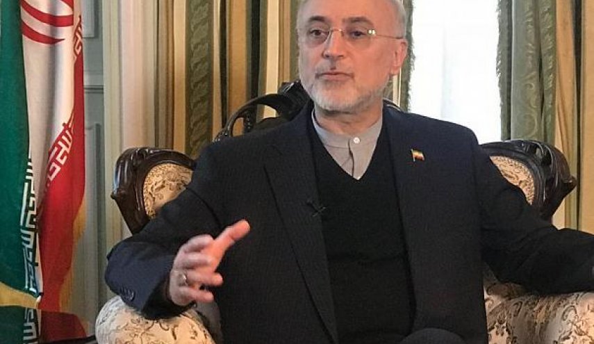صالحی: خیلی راحت می‌توانیم به شرایط قبل از برجام برگردیم 