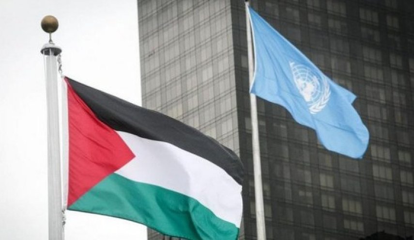 من نيويورك الى لاهاي.. فلسطين تحاول إفشال مخططات امريكا
