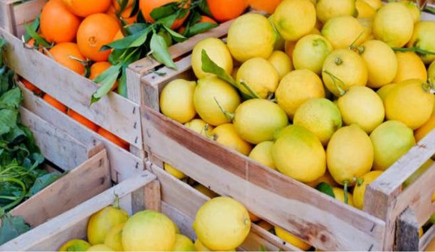 الأردن يقيّد دخول المنتجات الزراعية المنافسة من سوريا
