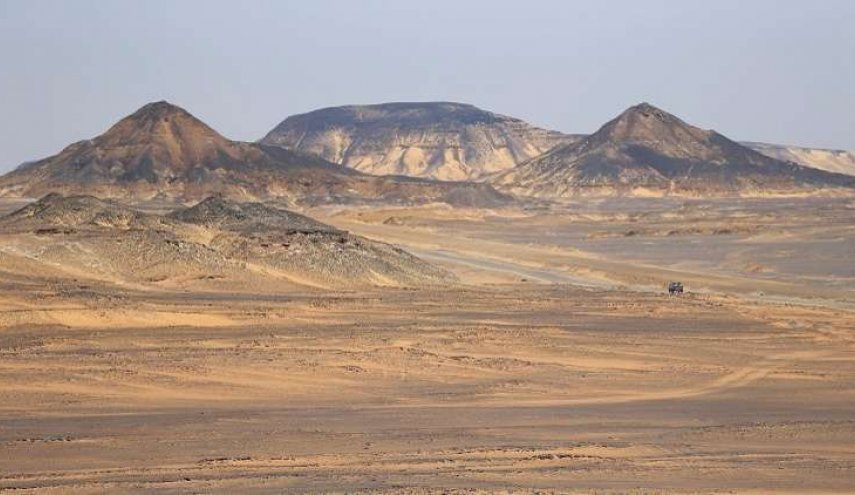 مصر تتصدى لغزو أسراب الجراد القادم من السودان