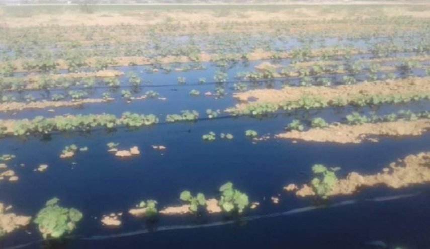السودان: بترول متسرب يغمر المزارع في نهر عطبرة