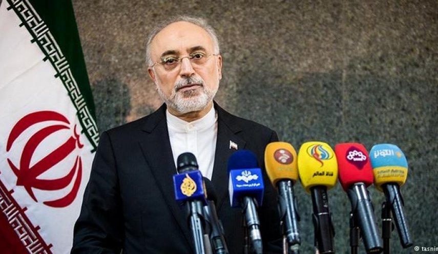 هیات نظارت بر برجام در خصوص ماندن یا خروج از آن تصمیم می‌گیرد
